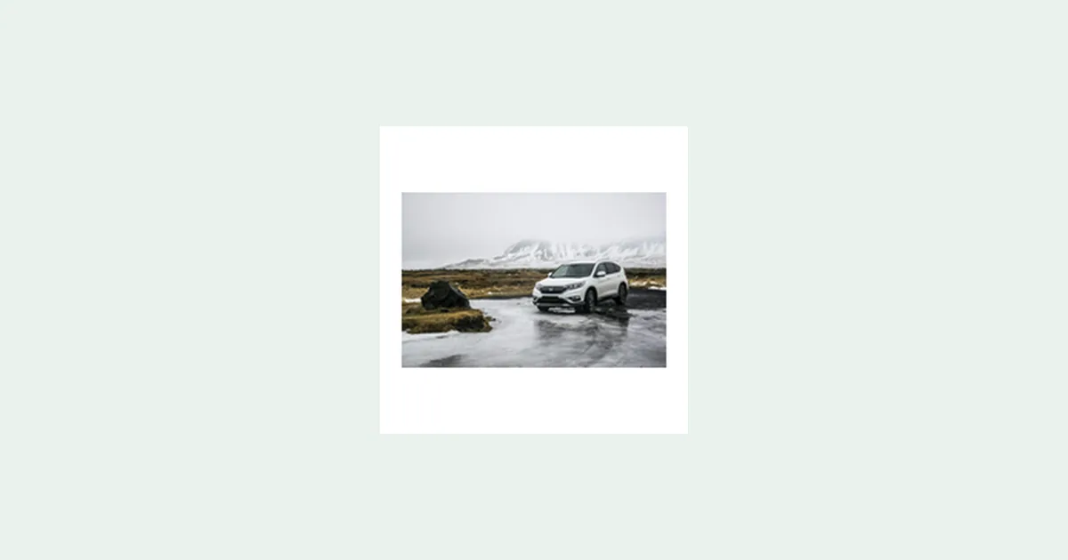 iBid Auto Quote